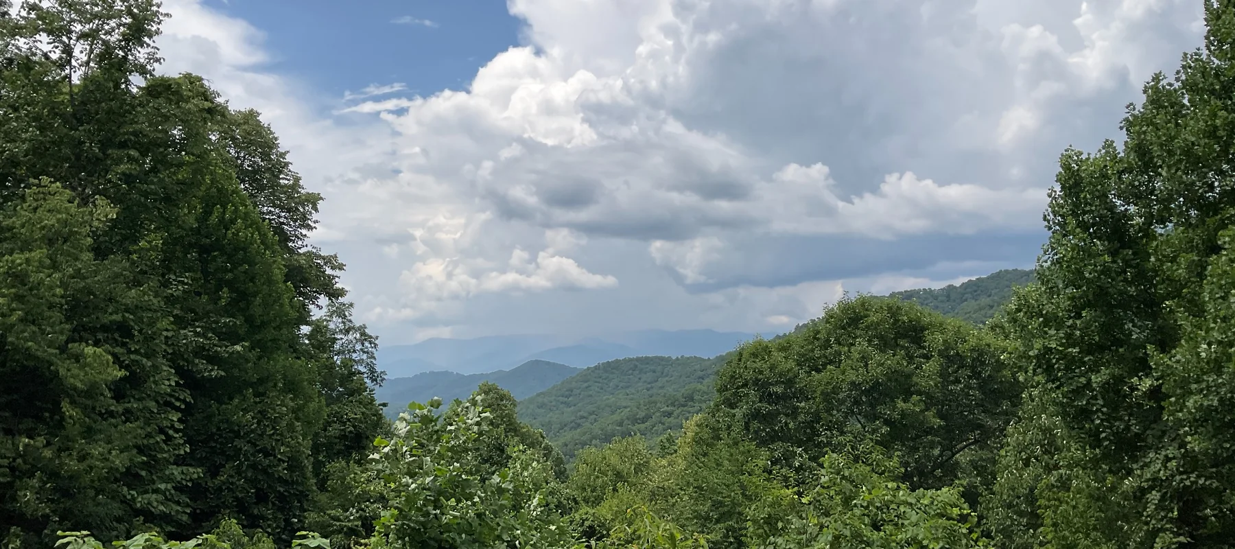 Forested mountain landscape in Western North Carolina