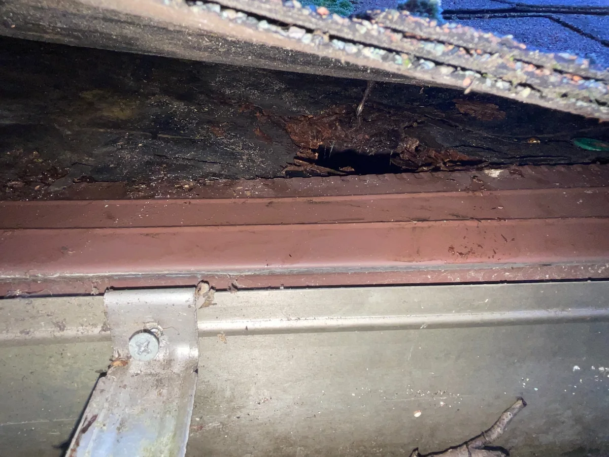 Moisture-related wood decay at the edge of a roof